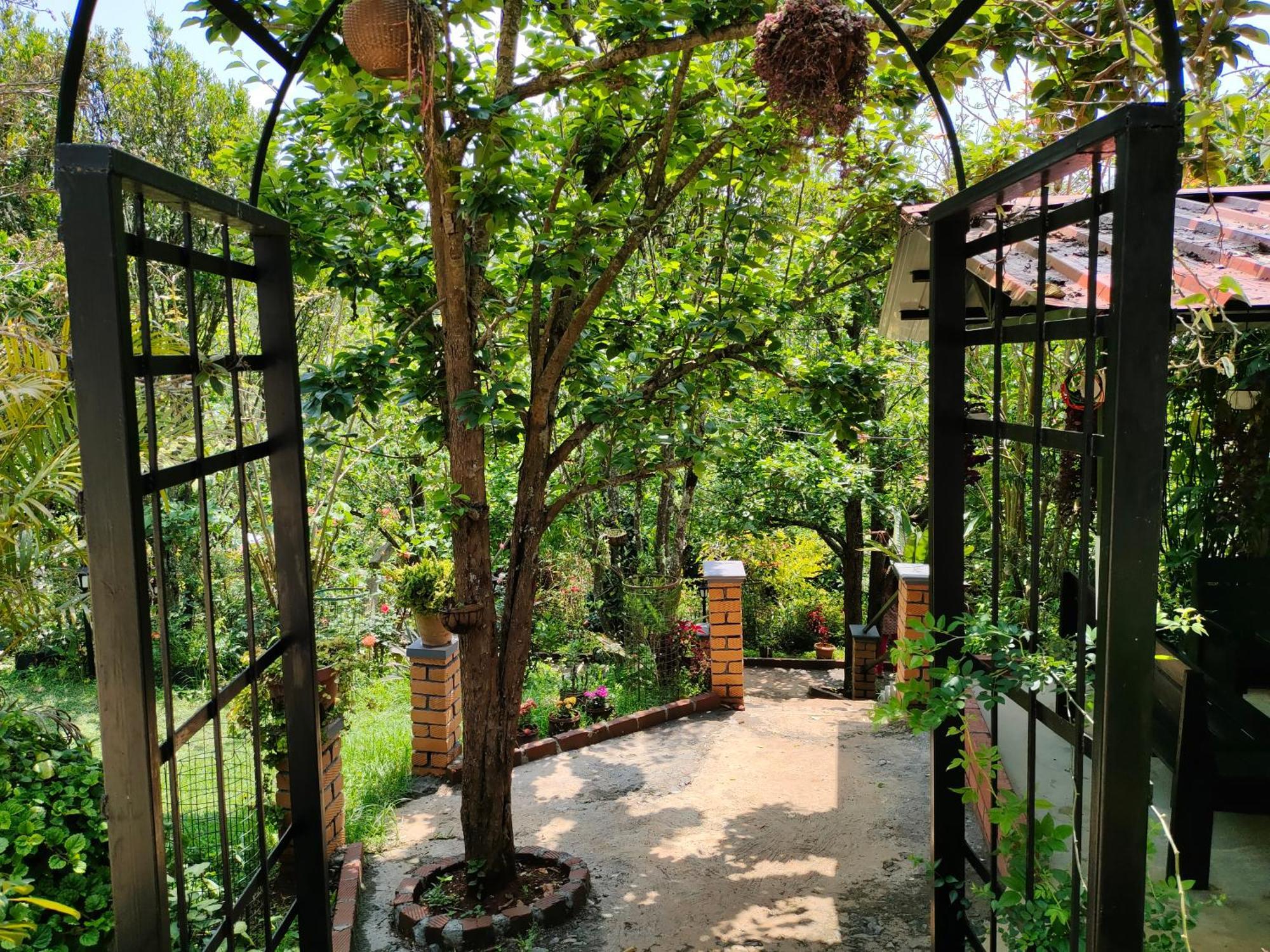 Pear Tree Entire 2Bhk Villa Kotagiri Exteriér fotografie